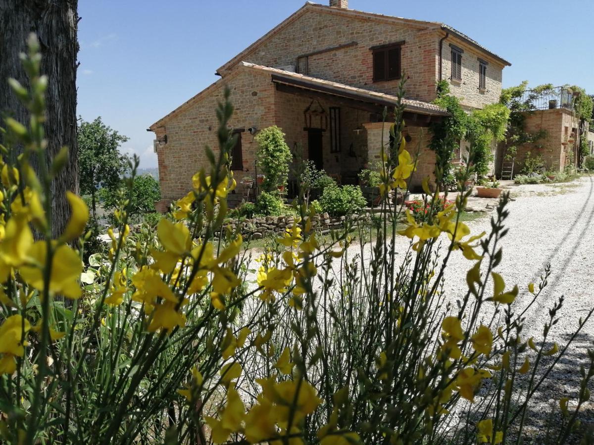 Casale San Martino Agriturismo Bio Sant'Angelo in Pontano Exterior foto