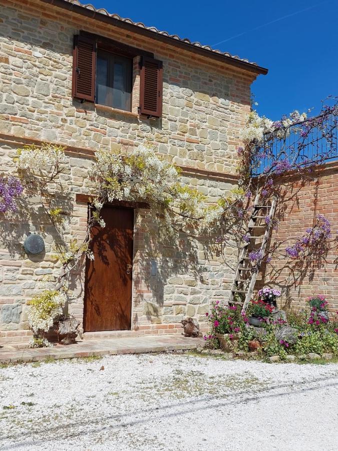 Casale San Martino Agriturismo Bio Sant'Angelo in Pontano Exterior foto